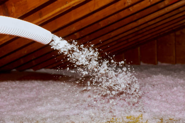 Insulation Repair Services in Stanton, NE