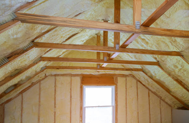 Best Insulation Replacement Services  in Stanton, NE