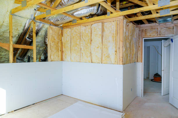Best Insulation Inspection Services  in Stanton, NE