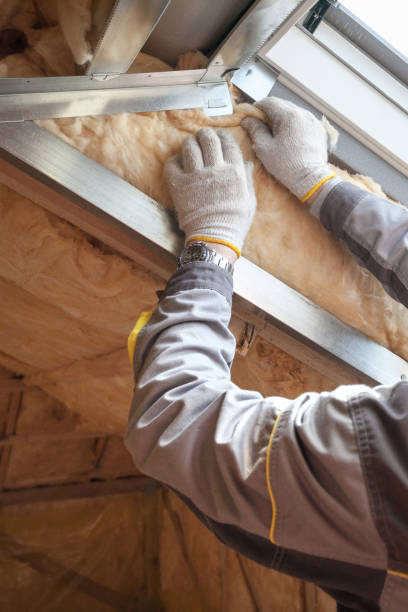 Best Insulation Replacement Services  in Stanton, NE