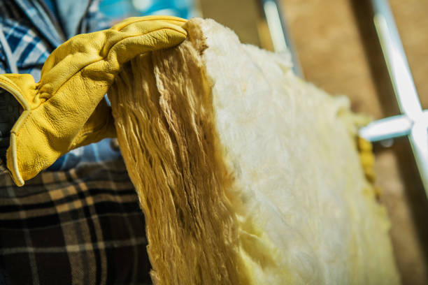 Best Residential Insulation Services  in Stanton, NE
