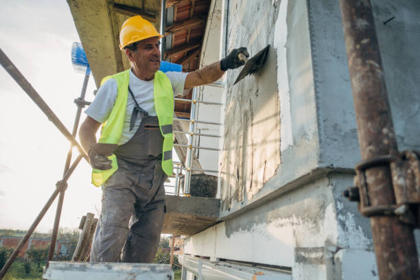 Best Insulation Removal  in Stanton, NE