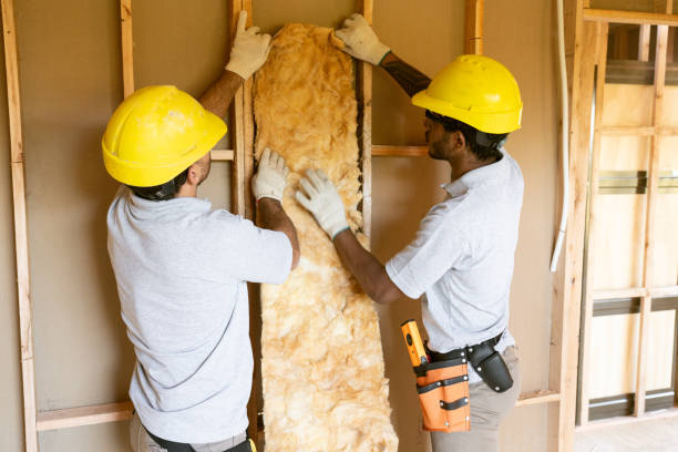 Best Crawl Space Insulation  in Stanton, NE
