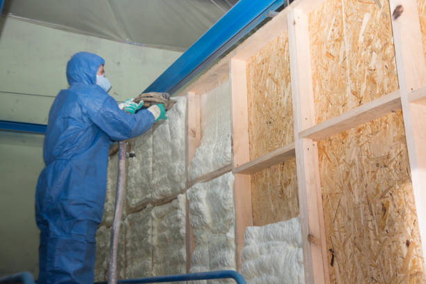 Insulation Replacement Services in Stanton, NE