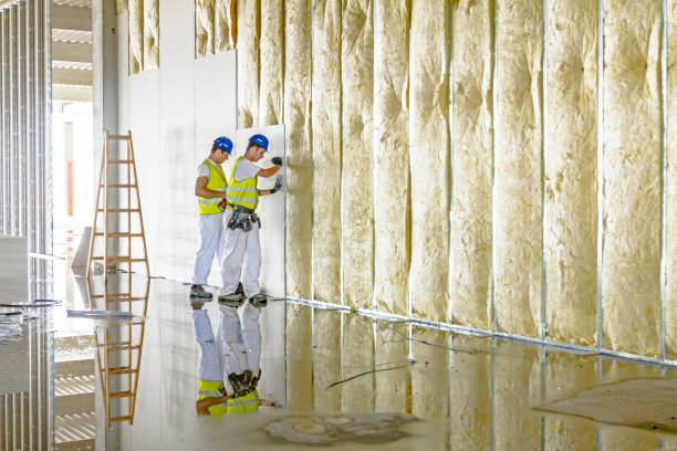 Best Wall Insulation Contractor  in Stanton, NE